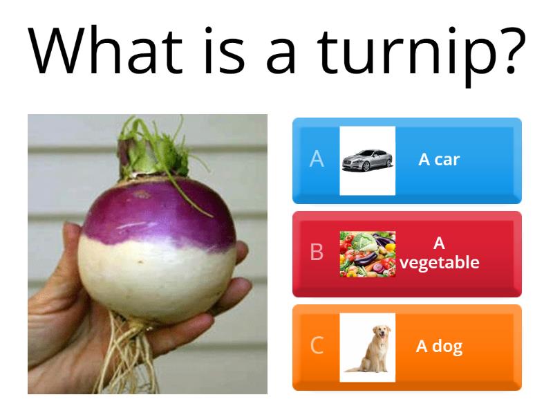 the-enormous-turnip-quiz