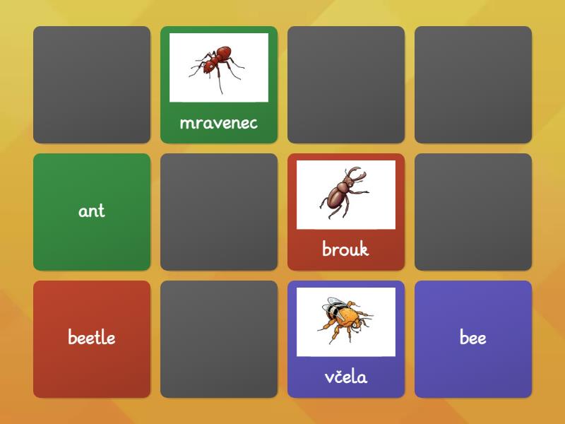 VOC: Insects - Matching pairs