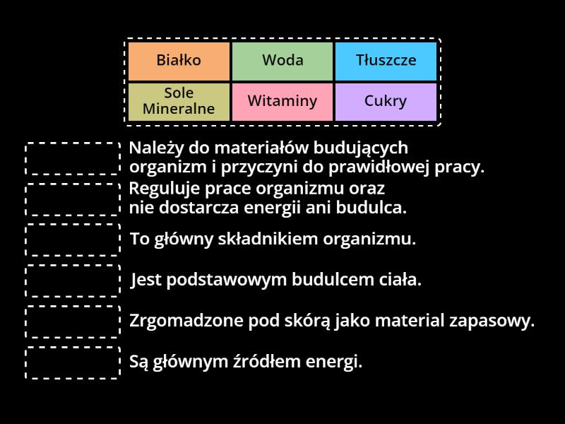 Sprawdzian Z Przyrody Klasa 4 łańcuch Pokarmowy