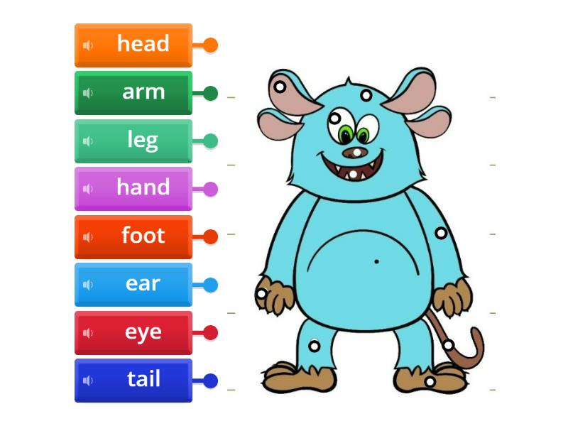 Monster body parts - Labelled diagram