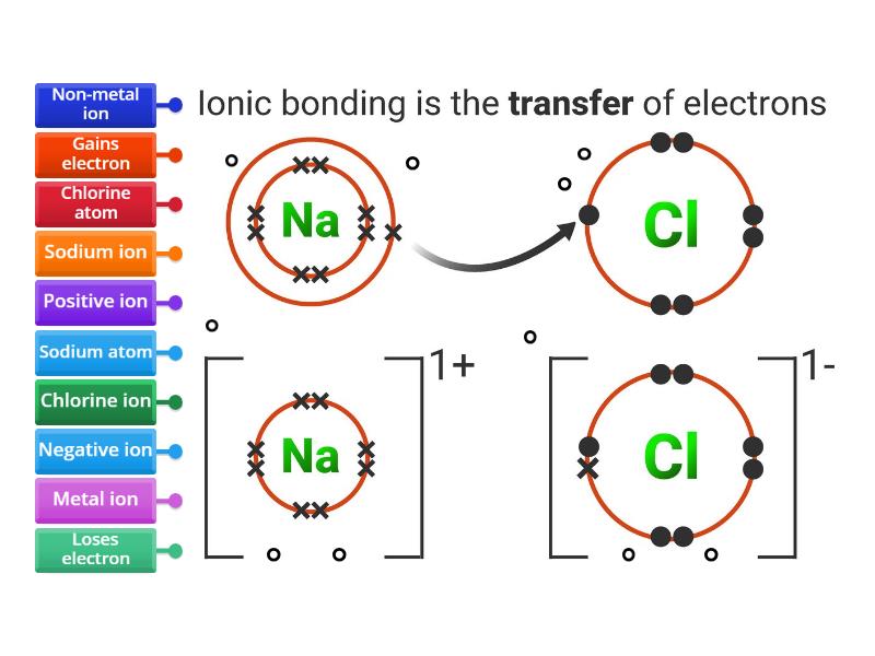 Dot and cross diagram - sodium chloride - Labelled diagram