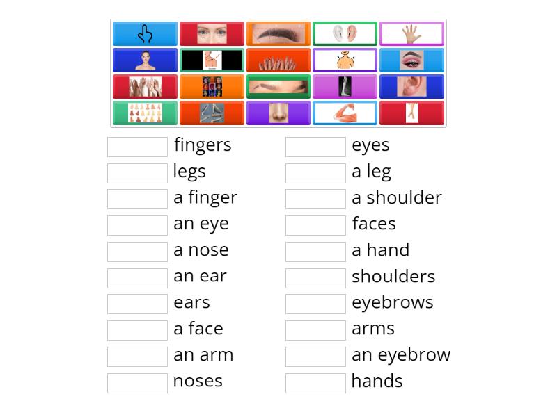 Family and Friends 1(All the body parts: singular and plural) - Match up