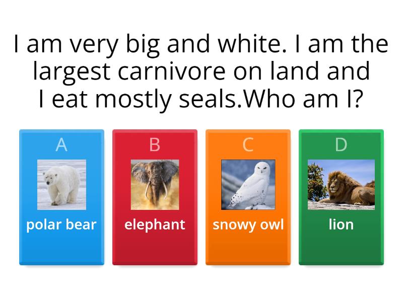 Arctic Animals riddles - Quiz