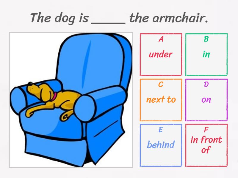 The camera is on the armchair. The cat is the armchair. armchair картинка для детей на английском. in the armchair перевод. cat on the chair.
