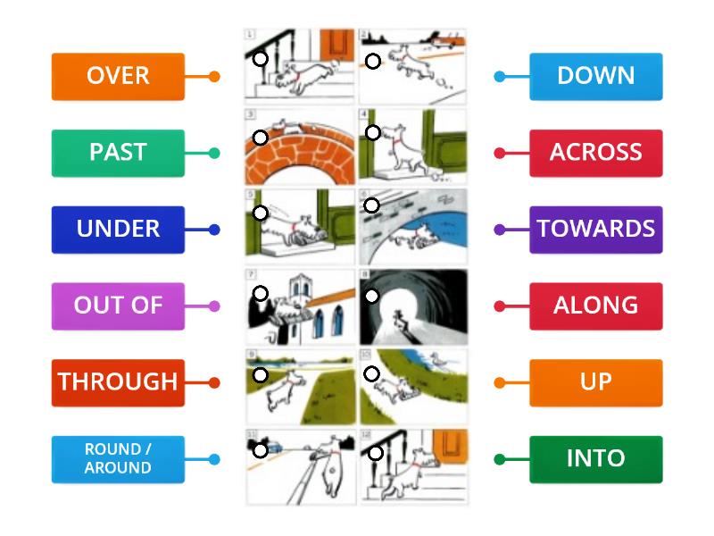 EXPRESSING MOVEMENT - Labelled diagram