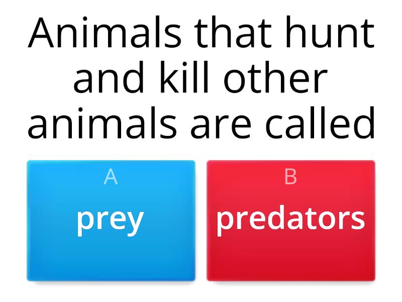 Predators And Prey - Quiz