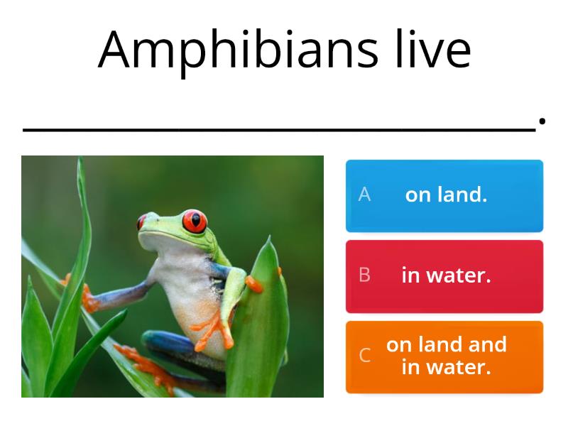 Animals - Amphibians and reptiles. - Cuestionario