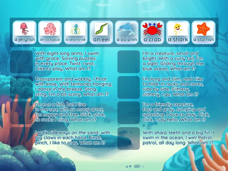 CR3 Riddles sea creatures - Match up