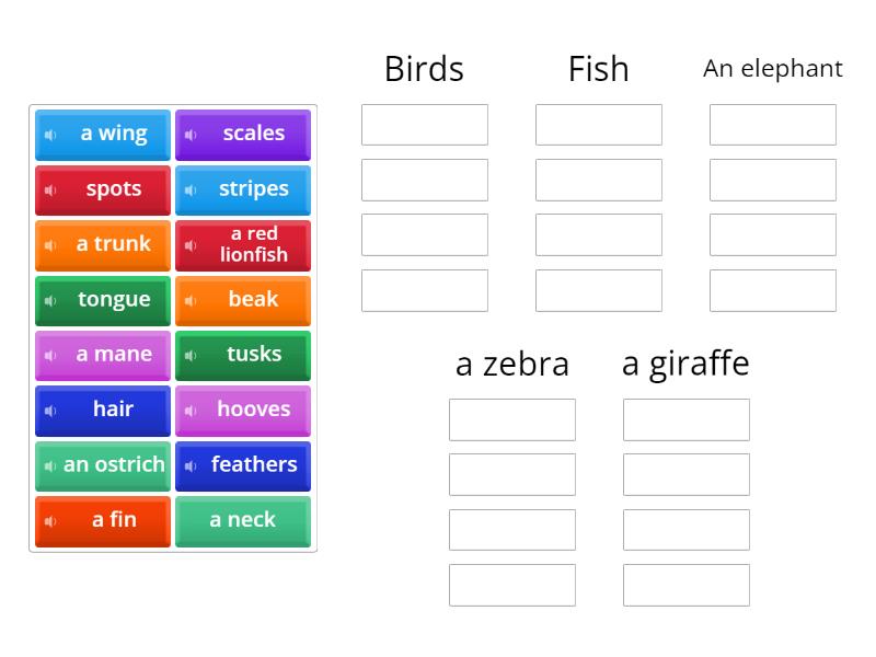 Project 1 Unit 3A Wild animals vocabulary - Group sort