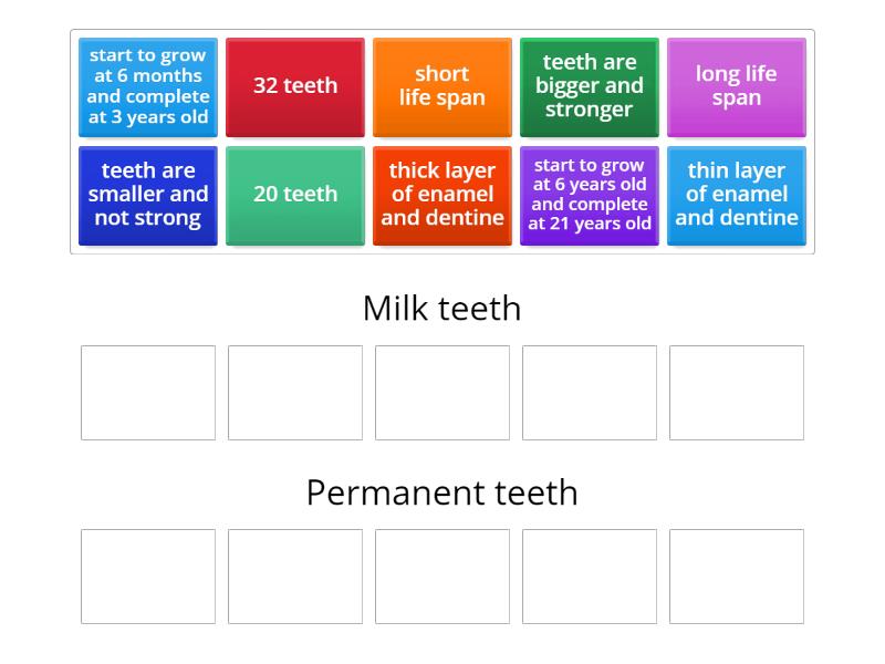 write the number of milk teeth and permanent teeth