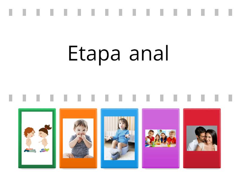 Etapas psicosexuales de Freud - Cada oveja con su pareja
