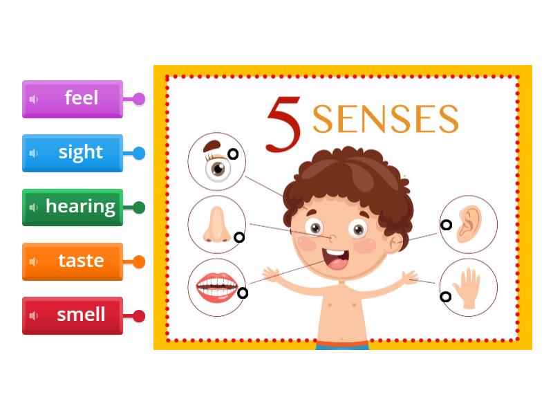 5 Senses: Connect (lower Case) - Labelled Diagram