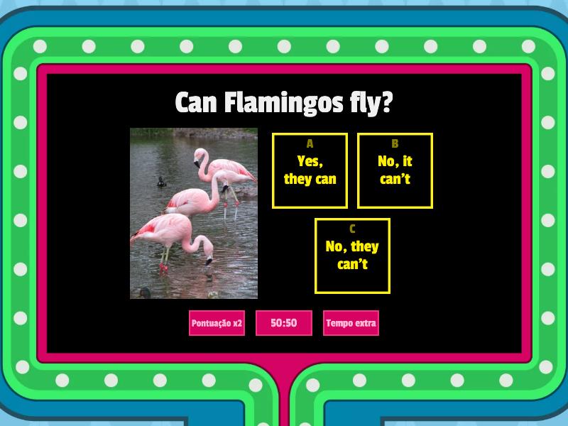 can-can-t-concurso-de-preguntas