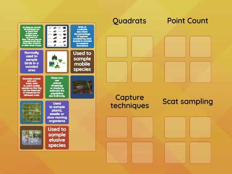Braes AH Biology Unit 2.1(b) Sampling Techniques - Group sort