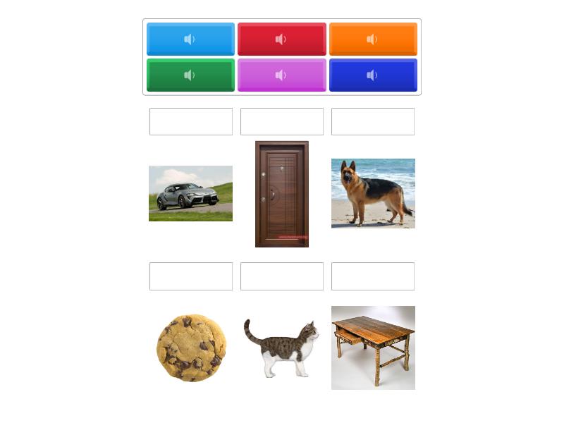 Unit 2. That is his ruler. - Lesson 4 - Match up