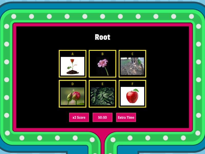 parts-of-a-plant-gameshow-quiz