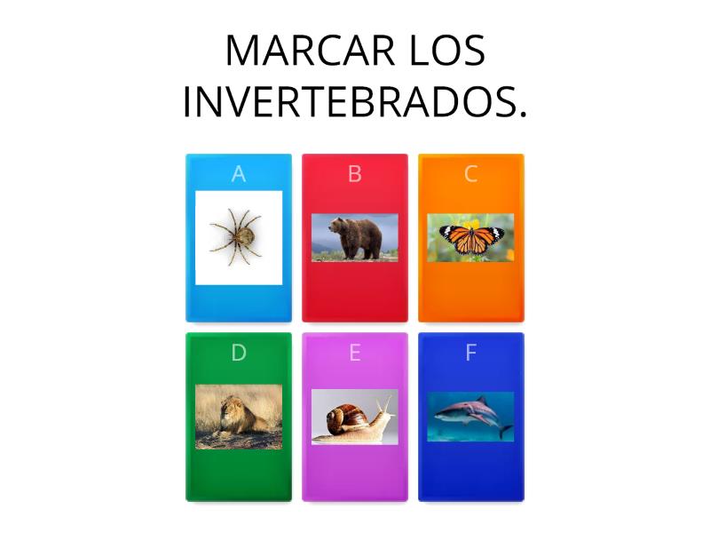 GRUPO 1- INVERTEBRADOS - Quiz