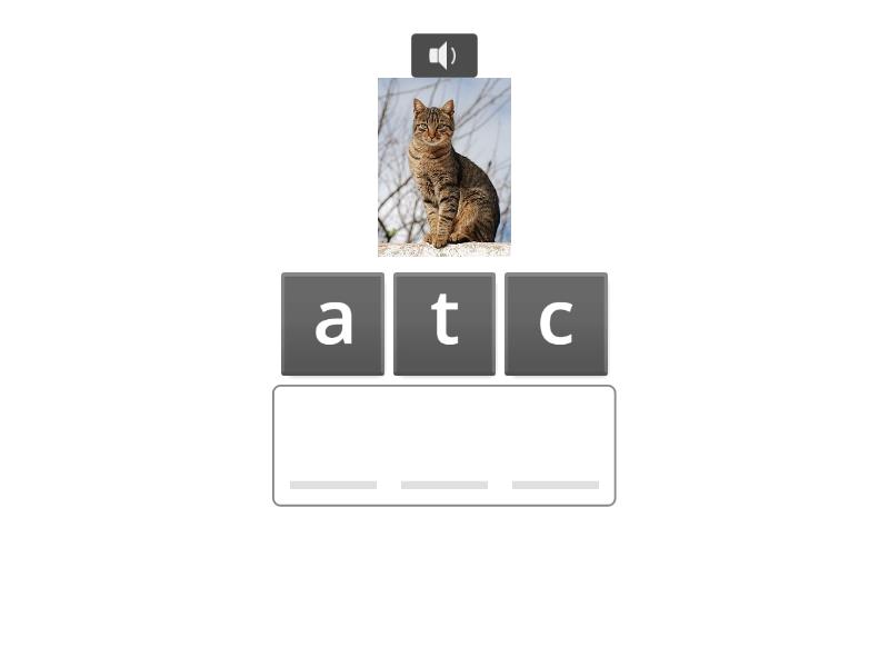 Short Vowel Sounds CVC Words - Anagram