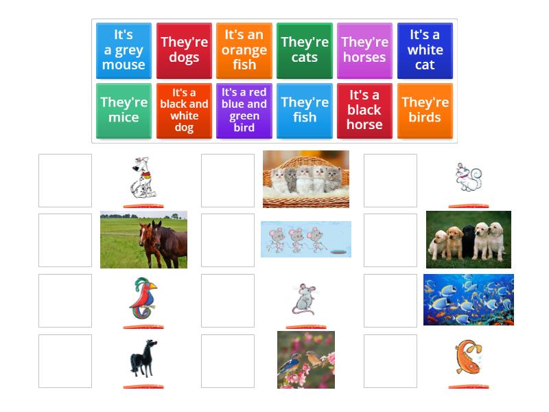 KIDS BOX 1 - Unit 5 lesson 2 - Match up