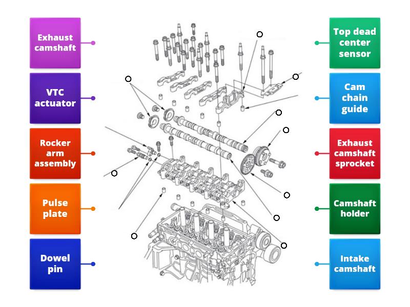 Component location of cylinder head - Labelled diagram