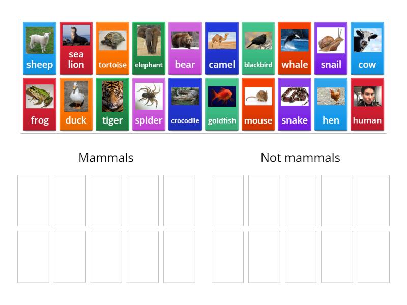 Sort the mammals from the non mammals - Group sort