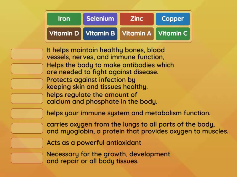 6.3 : the nutrients to their function in the human body - Match up