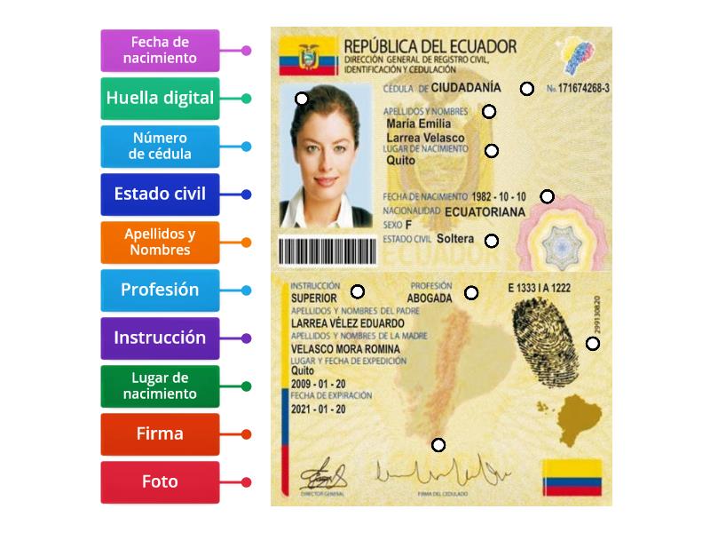 La cédula de identidad - Labelled diagram