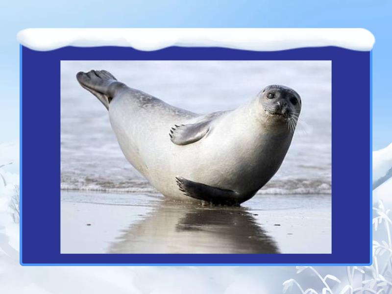 Week 3 vocabulary flash cards