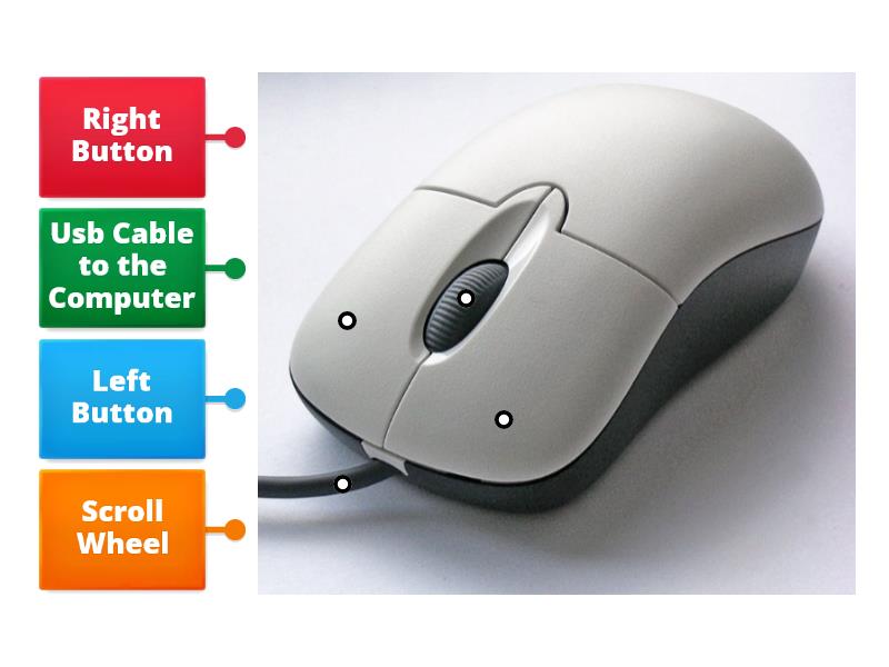 parts-of-a-computer-mouse-labelled-diagram