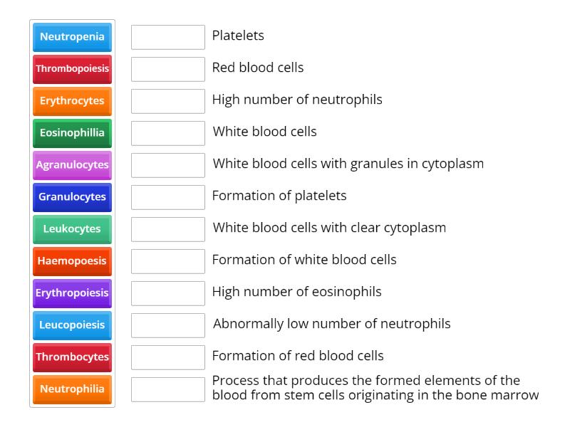 Blood terminology - Match up