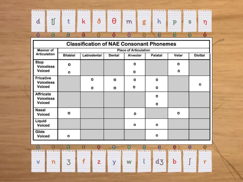 Classification Of English Consonant Phonemes Labelled Diagram 2951