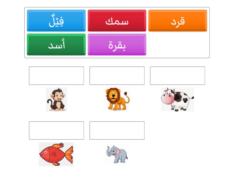nama-nama hewan dalam Bahasa Arab - Associação