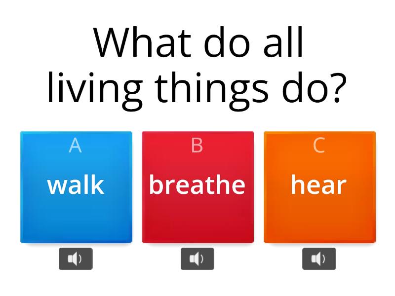 living-things-and-their-habitats-quiz