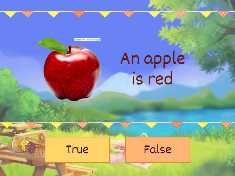 the-colours-true-or-false