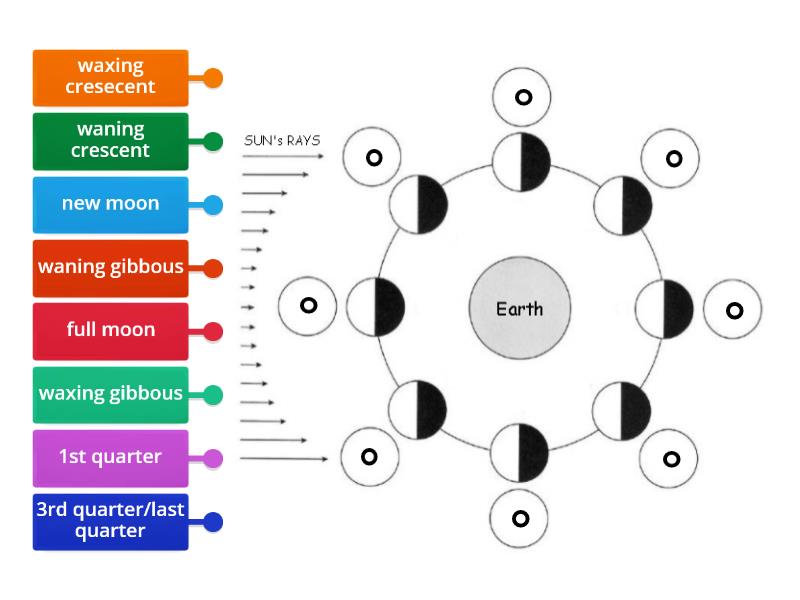 Moon Phases - Labelled diagram