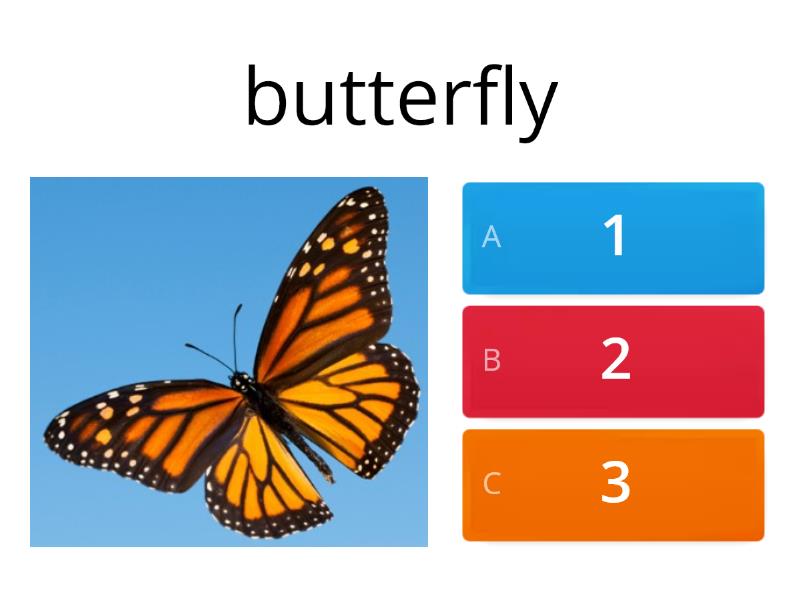 how-many-syllables-quiz