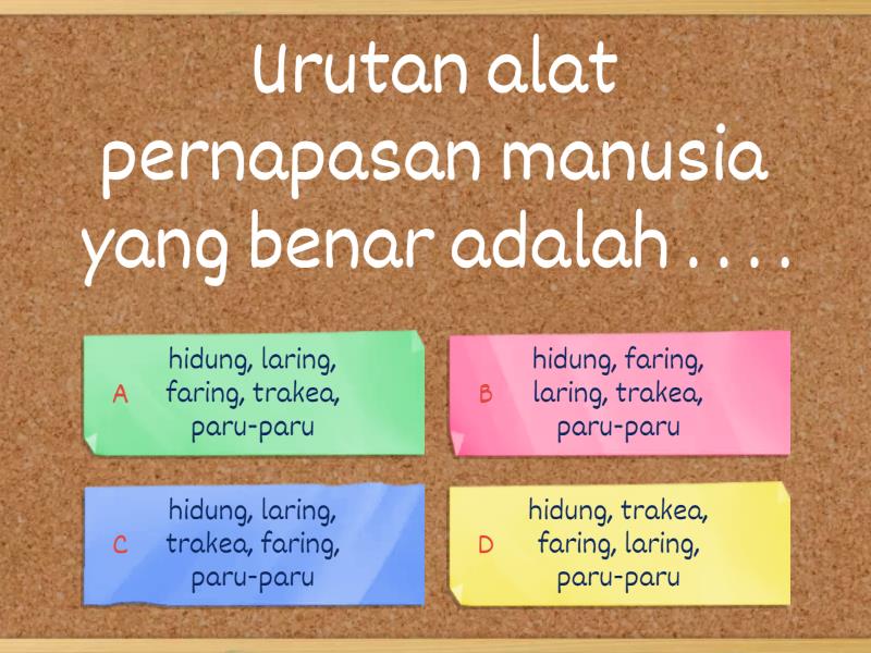 Soal ipas materi organ pernapasan manusia