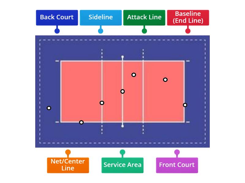 Label the Volleyball Court - Labelled diagram