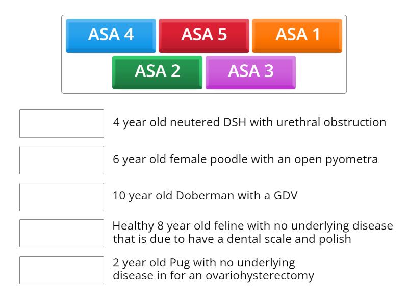 ASA Classification - Match up