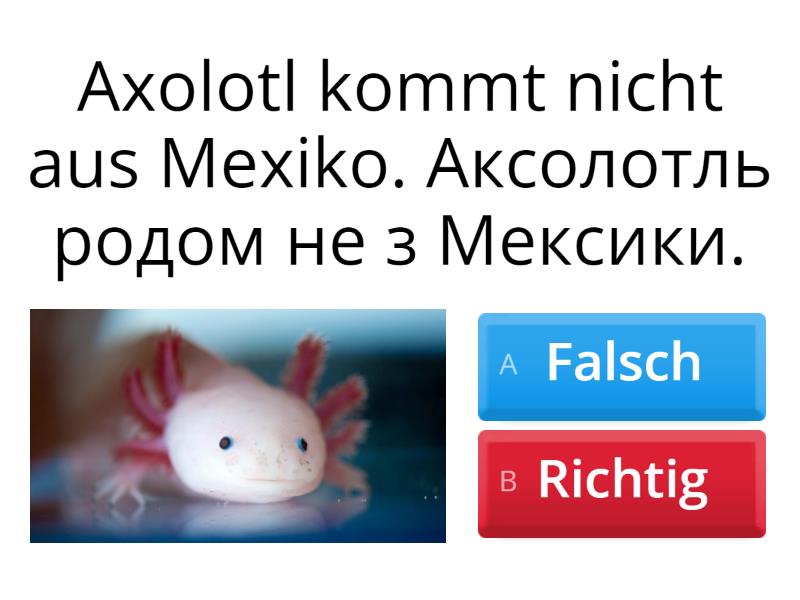 axolotl-quiz