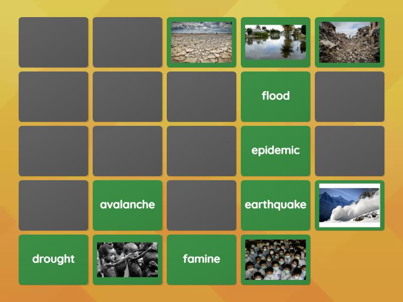 4C Natural Disaster Matching Pairs 