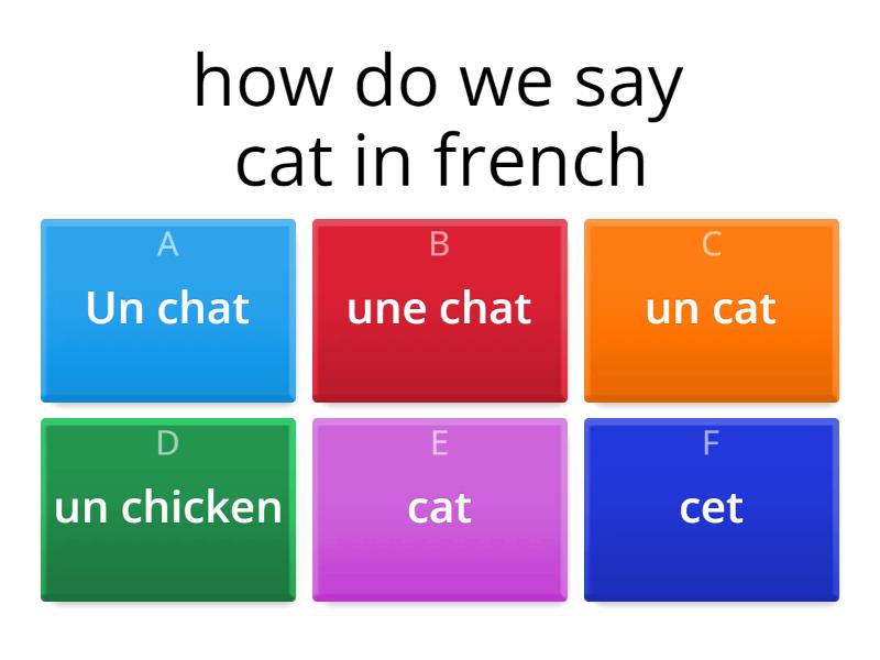 animals-in-french-quiz