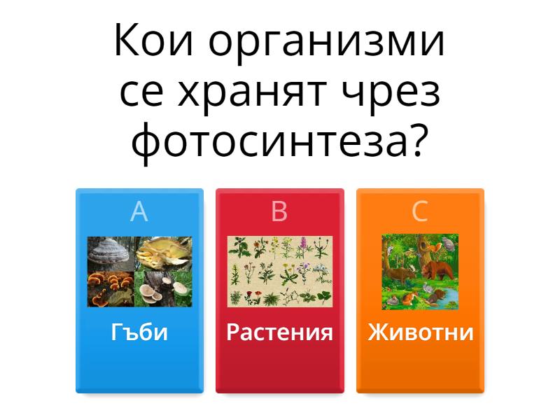 Организмите и тяхната среда на живот - Quiz