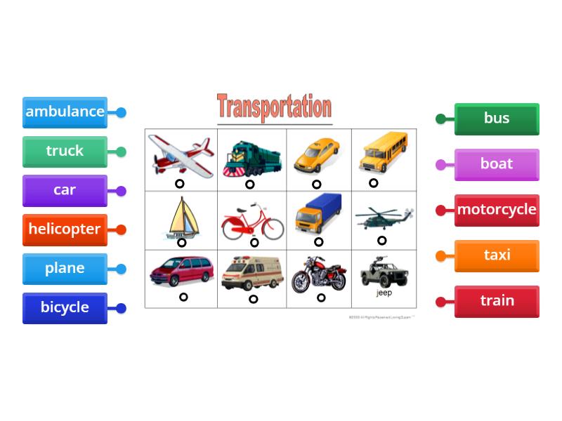 Transport - Labelled Diagram