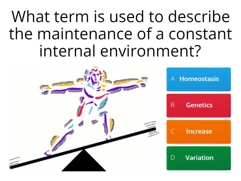 Homeostasis - Quiz