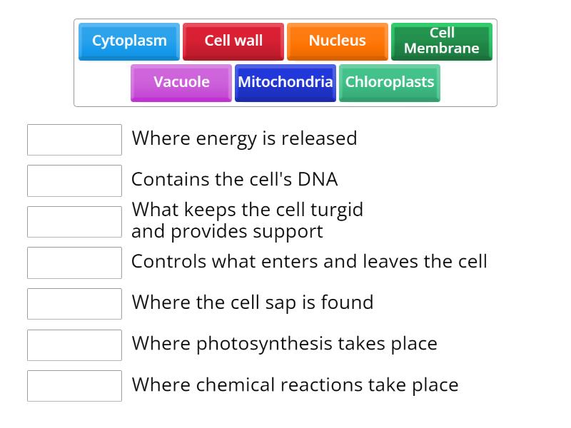 cell-parts-and-functions-cell-parts-functions-cells-are-made-up-of