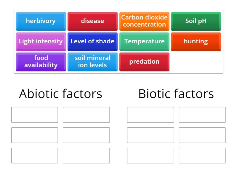 Factors that affect living organisms - Group sort