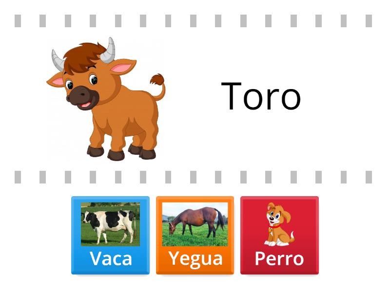Cada oveja con su pareja - Find the match