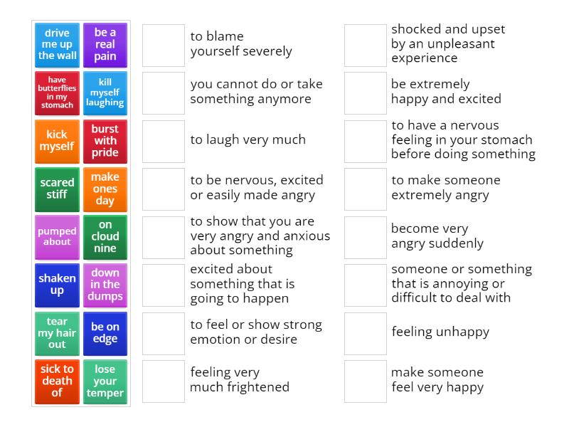 Emotions Idioms Match Up