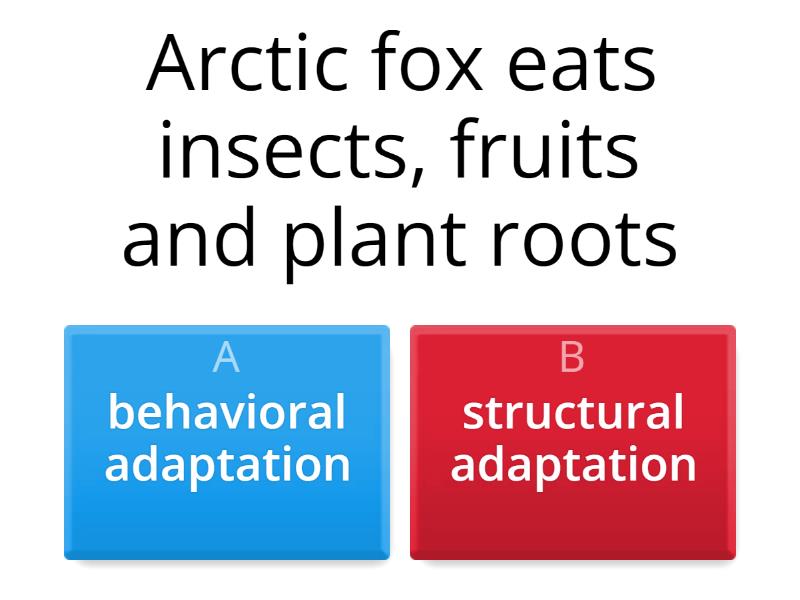 Types Of Adaptation - Quiz